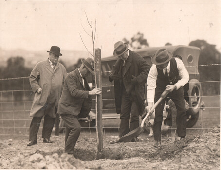 MMTB Tree planting - Alex Cameron et al - Wattle Park - 2
