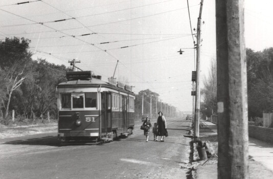 VR Tram 51 Royal Avenue Sandringham