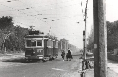 VR Tram 51 Royal Avenue Sandringham