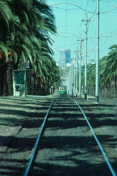 Elizabeth St route 59 operations - 3