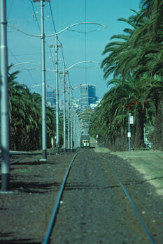 Elizabeth St route 59 operations - 4