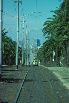 Elizabeth St route 59 operations - 5