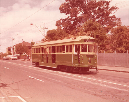 A green and cream tram with "SPECIAL" displayed on its front is stopped on a city street, with cars and trees in the background.