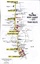 Map of the Met Mont Albert - City tram route, showing various stops and landmarks.