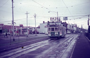 A vintage green and cream tram numbered 801 travels along wet tram tracks on a city street lined with buildings and businesses.