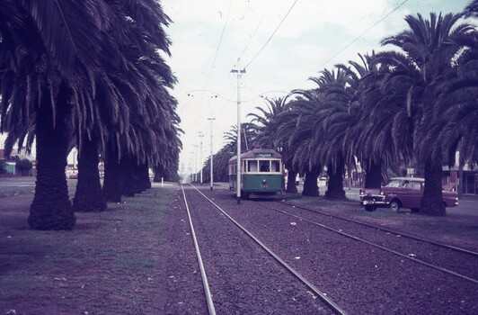 A vintage green tram travels down a track lined with tall palm trees, with a classic red car parked to the left.