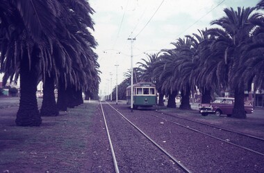 A vintage green tram travels down a track lined with tall palm trees, with a classic red car parked to the left.