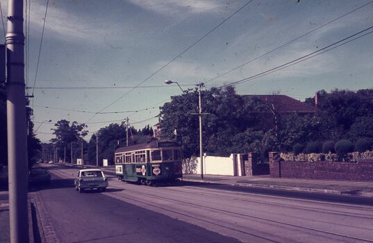 A vintage green tram with cream trim travels down a street lined with trees and houses, with a white car visible ahead.