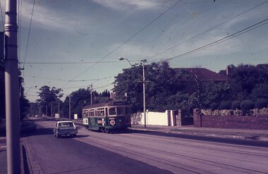 A vintage green tram with cream trim travels down a street lined with trees and houses, with a white car visible ahead.
