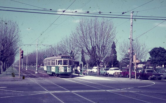 A green and cream vintage tram stops at a tram shelter on a tree-lined road with many cars waiting for a traffic light.