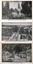 Three black and white photographs of Melbourne, Australia. Top image: Captain Cook's Cottage in Fitzroy Gardens. Middle image: A view looking across Princes Bridge towards St. Kilda Road, with traffic and trams. Bottom image: A tree-lined avenue and garden path on St. Kilda Road.