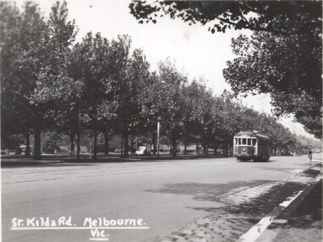 Vintage postcard showing a tramcar traveling down a wide, tree-lined avenue in Melbourne, Australia.