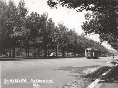 Vintage postcard showing a tramcar traveling down a wide, tree-lined avenue in Melbourne, Australia.