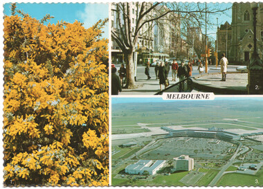 Collage of three images: a close-up of a bright yellow flowering tree, a street scene in Melbourne with people and buildings, and an aerial view of a large building complex with an airport runway in the background.