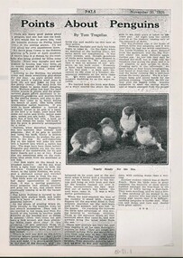 Single page article with 11 paragraphs of text in double columns, with single photo of four almost fledged Little Penguin chicks at right centre.