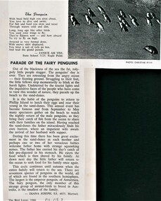Photo copy of magazine cutting. One poem above an essay. Greyscale photo of a group of Little Penguins walking up beach.