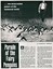 "Parade of Fairy Penguins" 2 page article photocopy of original. Text readable, images photcopied poorly. 1 main photo first page, 3 photos 2nd page.