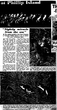 Single page article photocopied from magazine or newspaper. 7 paragraphs in 2 colums. 3 photos, but not clear due to old photocopy method.