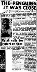 Photocopy of double report newspaper cutting article about fire at penguin rookery