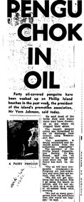 Photocopy of newspaper cutting. Black print with very dark black and white photo of Fairy (Little) Pengun. Poor reproduction due to older photocopy machine