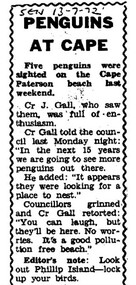 Photocopy of Single column newspaper article, black print on white paper.