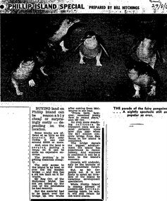 T-shaped article cutting with large image at top of article, dark due to poor photcopy. Double collumn text under photo clearly readable. Black and white.