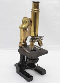 Equipment - Microscope and Insect Specimens