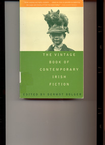 Book, Dermot Bolger, The Vintage Book of Contemporary Irish Fiction, 1994