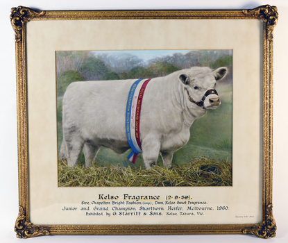 A cow wearing a sash in a golden frame with calligraphy text.