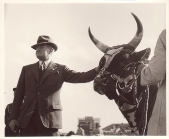 Black and white photograph of a man standing with a long horned cow