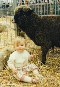 A baby seated in front of a black sheep in the Animal Nursery.