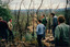 Group of people standing in a native Australian forest, with bare tree trunks around them. 