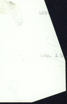 Blank reverse of a photograph. 