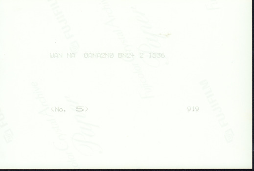 Reverse side of the photograph which is blank.