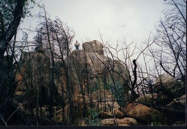 Photograph of burnt trees and a pile of large boulders behind them. A man stands on top of the large boulders.