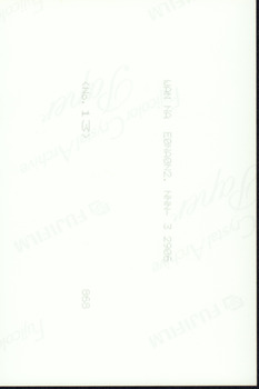Reverse side of the photograph which is blank.