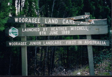 Photograph showing a broken dark wooden green sign in a bush environment. Reads "Wooragee Land Care Area/ Launched by Heather Mitchell/ 6th June 1989/ Wooragee Junior Landcare First in Australia."