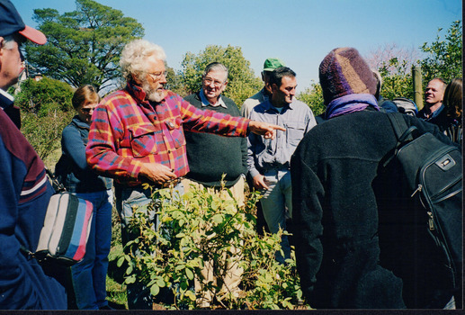 Group of man stand in a garden. One is clearly in the middle of speaking, and gesturing towards a rose bush. 