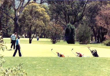 Photograph, 11th green, 9th tee and 8th green: Heidelberg Golf Club, 1990s