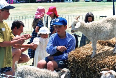 Photograph, Faye Lamb, Christmas picnics at Heidelberg Golf Club - Farm animals, 1990