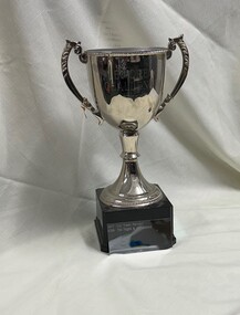 Award - Trophy, Heidelberg Golf Club Bowling Club, Lenore's Challenge, 2017