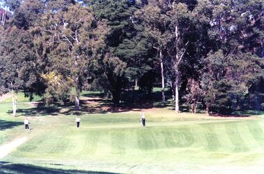 Photograph, Heidelberg Golf Club, The 17th green 2001, 2001