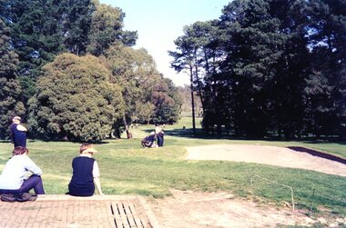 Photograph, Heidelberg Golf Club, Looking down 16th fairway to tee 2001, 2001