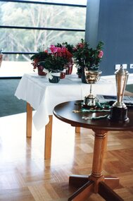 Photograph, Heidelberg Golf Club, Ladies' trophies 1988, 1988