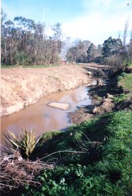 Photograph, Heidelberg Golf Club, Clearing up the River July 2001, 2001