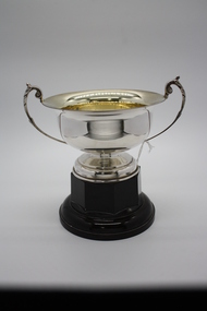 Memorabilia - Trophy