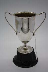 Memorabilia - Trophy