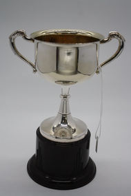 Memorabilia - Trophy