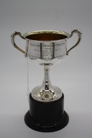 Memorabilia - Trophy