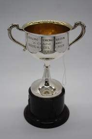 Memorabilia - Trophy